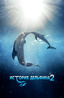 История дельфина 2 История дельфина 2