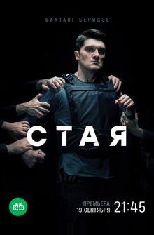 Стая Стая