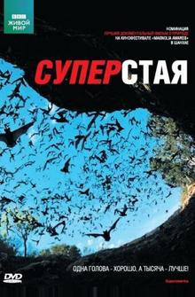 BBC: Суперстая BBC: Суперстая