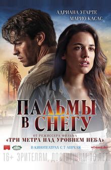 Пальмы в снегу